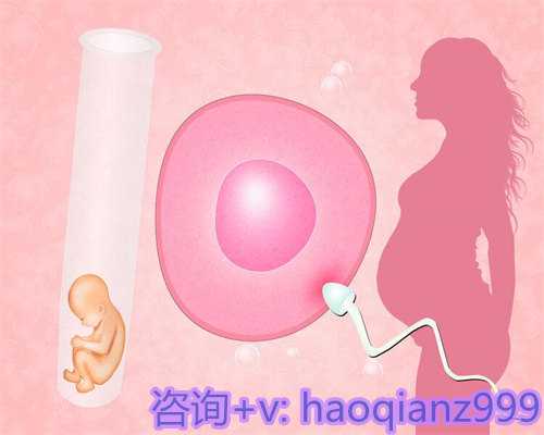 北京供卵的孩子，北京二胎新政策