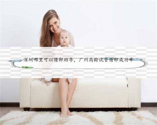 深圳哪里可以借卵助孕，广州高龄试管借卵成功率