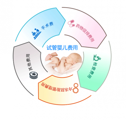 2024景德镇市妇幼保健院试管婴儿成功率一览，附试管婴儿费用介绍，北京三零
