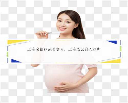 上海做捐卵试管费用，上海怎么找人捐卵