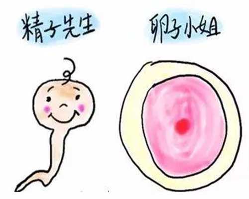广州17岁少女被忽悠1.5万卖卵子卵巢破裂险丧命