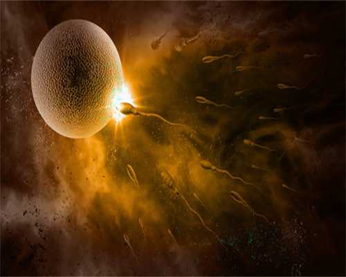 精子与卵子遭遇事故