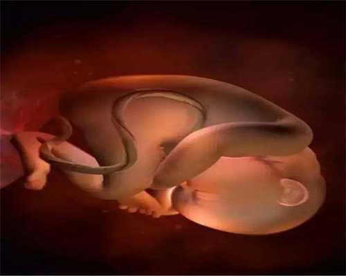 提醒五种女人孕前应该检查卵子质量