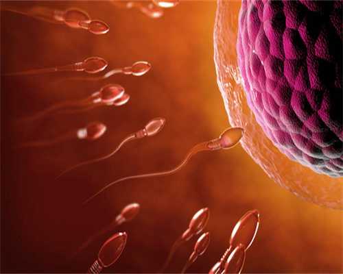 人体显微照片当卵子与精子相遇（组图）183