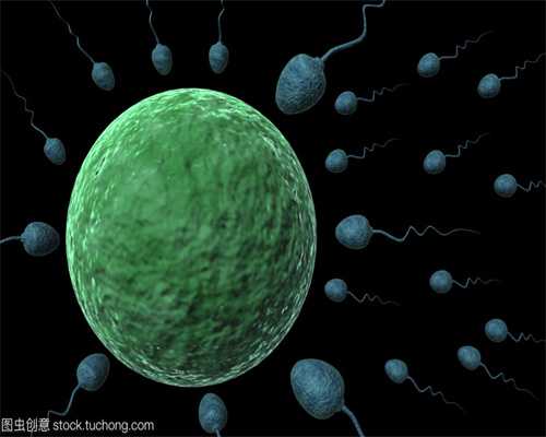 精子和卵子结合需要多长时间同房后多久受孕