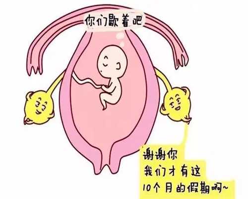 精子和卵子结合需要多长时间同房后多久受孕