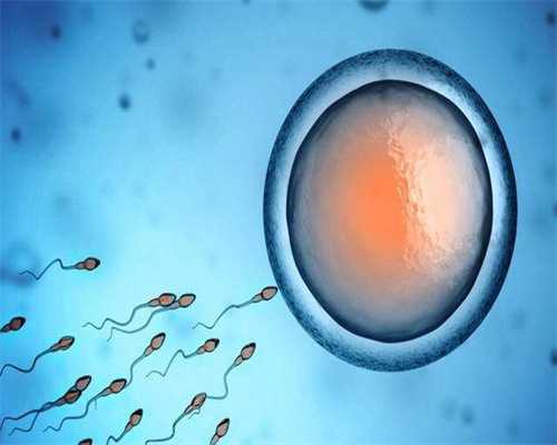精子和卵子在发生上的重要区别是A．受精前精子