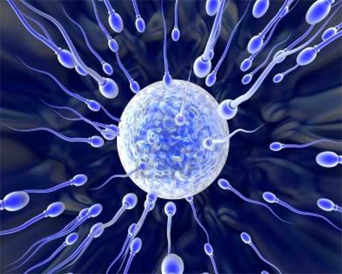 卵子排出后能存活多久卵子排出后多久能受精6