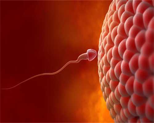 精子多久能遇到卵子