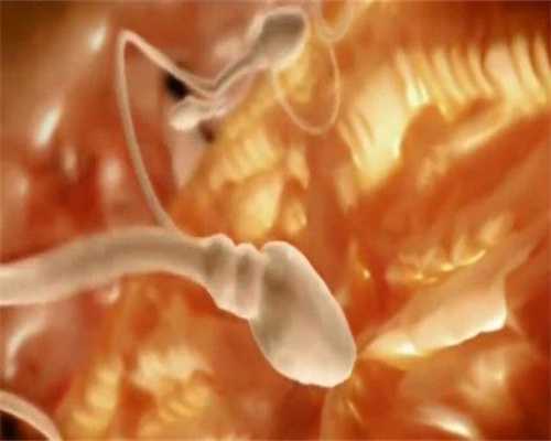 受精卵的形成部位是A．阴道B．子宫C．卵巢D．输