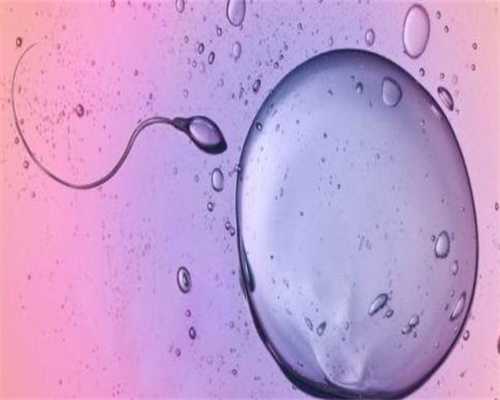 卵泡不成熟会排出吗：代孕中心