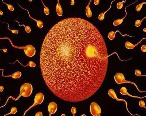 卵子的形成过程：代孕妇谭永林公司