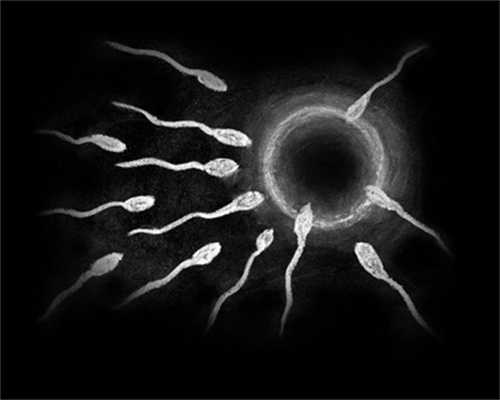 女性在排卵期一般排几个卵子