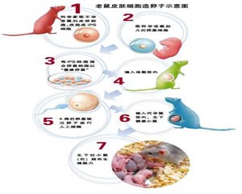 卵子受精过程精子和卵子结的合过程