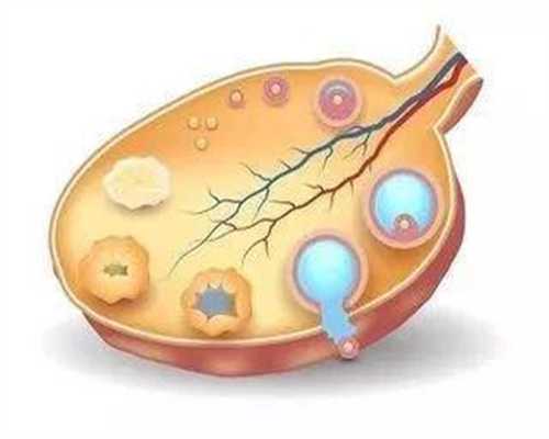 泥鳅精子和卵子结构及受精过程的细胞学观察