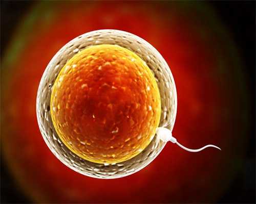 卵子是否受精的标志是A．雌、雄原核形成B．精卵