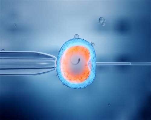 人的精子与卵细胞结合成受精卵和胚胎发育的部