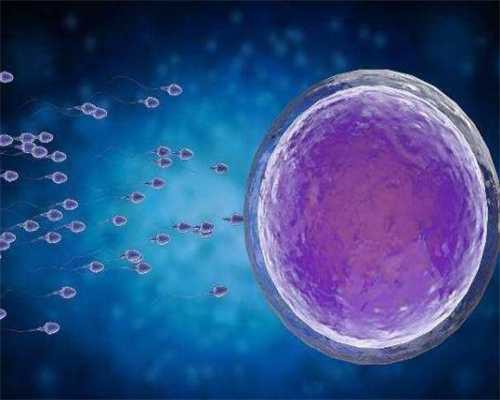 人的精子与卵细胞结合成受精卵和胚胎发育的部