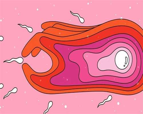 精子和卵子结合有什么反应吗(341)