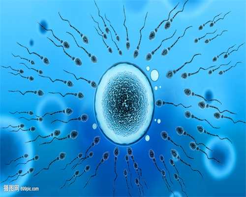 精子与卵子为何互相排斥