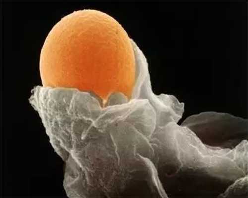 捐卵子质量影响代孕吗