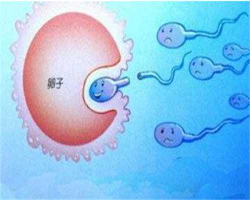 广州招捐卵_男性不育的症状有什么呢