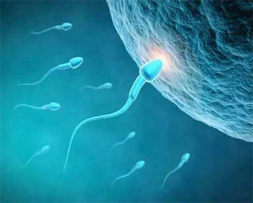 卵巢关乎排卵，你知道哪些因素容易影响卵巢吗