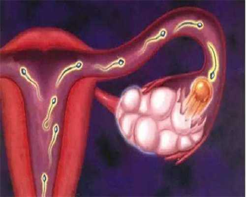 卵巢早衰的症状 七个症状暗示卵巢早衰