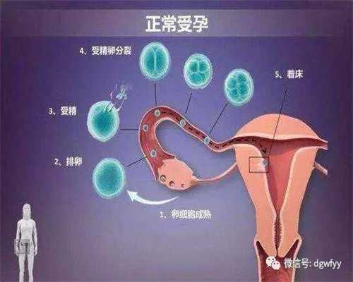 如何治疗卵巢性不孕-