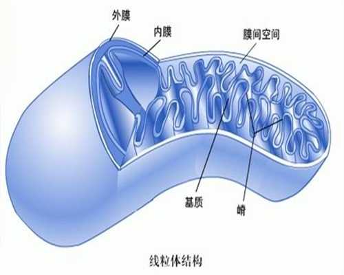 荆州什么是卵巢囊肿？