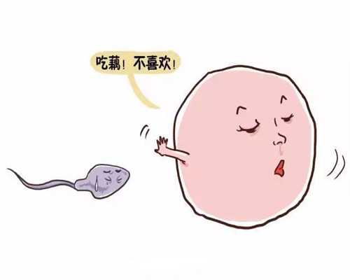 台湾捐卵怎么捐,女性为什么会遭遇卵巢不孕呢
