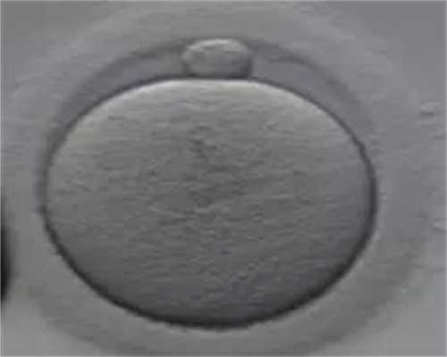 辽宁捐卵过程,卵巢不排卵跟什么有关 促进卵巢排