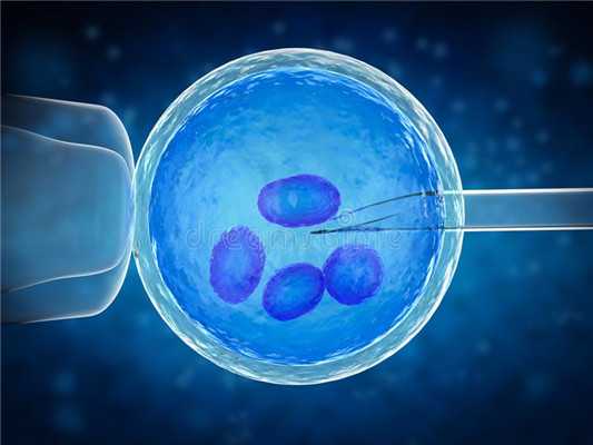 新疆捐卵卵子少,四种卵巢病最易致不孕 卵巢早衰