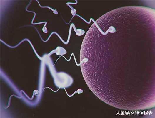 台湾捐卵好不好,卵巢四类常见病难以怀孕 预防炎