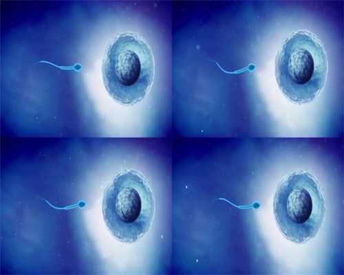 天津正规捐卵,精子和卵子为何互相排斥