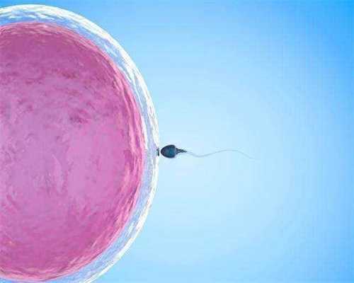 重庆捐卵怀孕,卵巢因素易致不孕 女性卵巢功能失