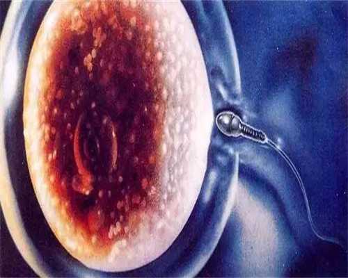 四川捐卵取多少,治疗不孕不育首先解决精子和卵