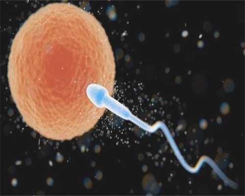 四川捐卵取多少,治疗不孕不育首先解决精子和卵