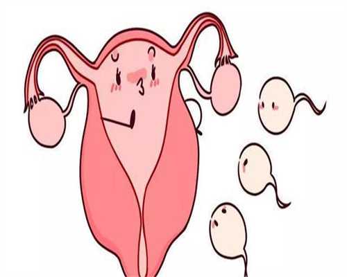 贵州捐卵怎么取,局部因素引发卵巢性不孕 饮食保