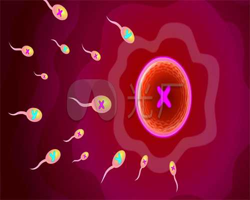 陕西捐卵过程,卵巢囊肿类型 6个类型要了解