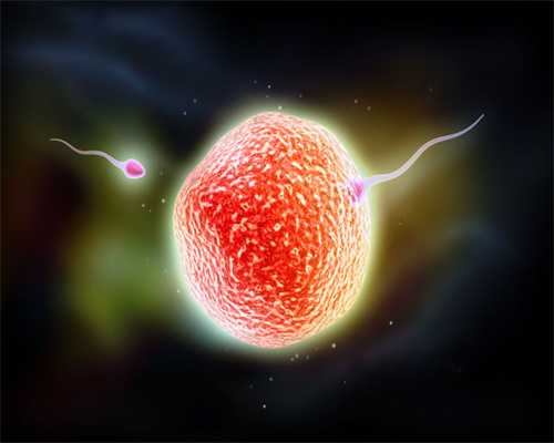 内蒙古正规捐卵,有哪些良性卵巢肿瘤最常见