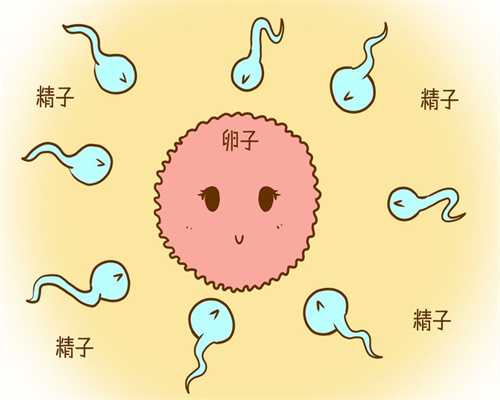 山东捐卵咨询,功能性卵巢囊肿的症状有哪些