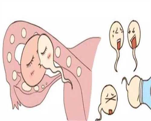 北京微信捐卵群,多囊卵巢综合症的5款食疗方 助