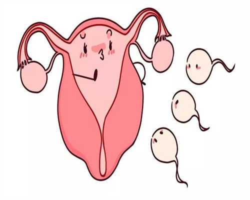 新疆面试捐卵,预防卵巢癌的有效方法有哪些