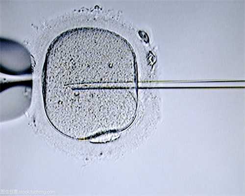 内蒙古捐卵群,多囊卵巢几年能癌变