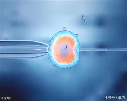 浙江捐卵的流程,卵巢囊肿的出现如何做好保健