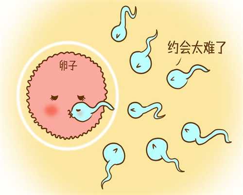 台湾捐卵费用,卵巢早衰服中药行吗