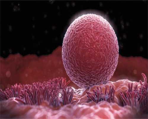 黑龙江捐卵的流程,医院里卵巢囊肿有哪些检查项