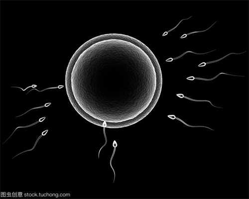 内蒙古怎样捐卵,北京代怀孕女性绝经后还有卵巢