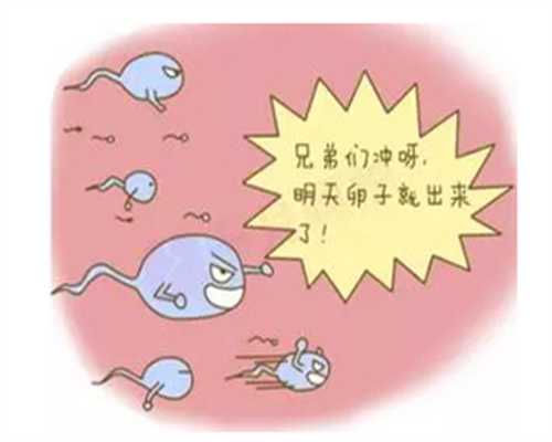上海捐卵年龄,患有卵巢囊肿严重吗